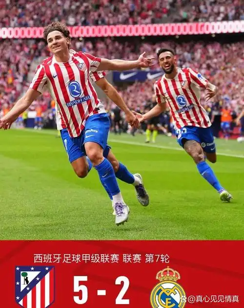 麻豆tv网站入口免费